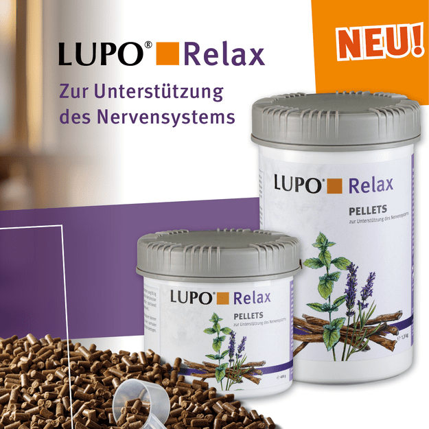 Lupo Relax - Nervų sistemos funkcijų palaikymui